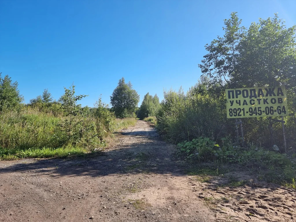 Продажа участка, Большие Пороги, Всеволожский район - Фото 13