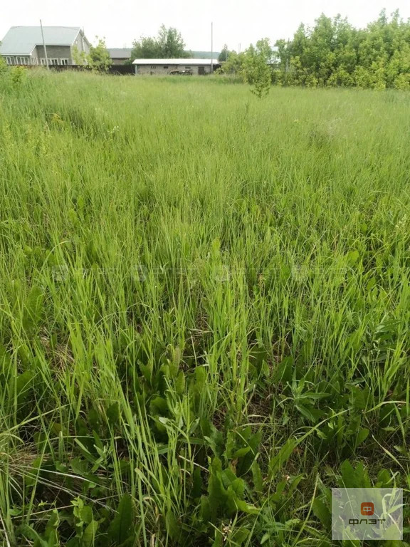 Продажа участка, Новые Бирюли, Высокогорский район, ул. Зеленая - Фото 4