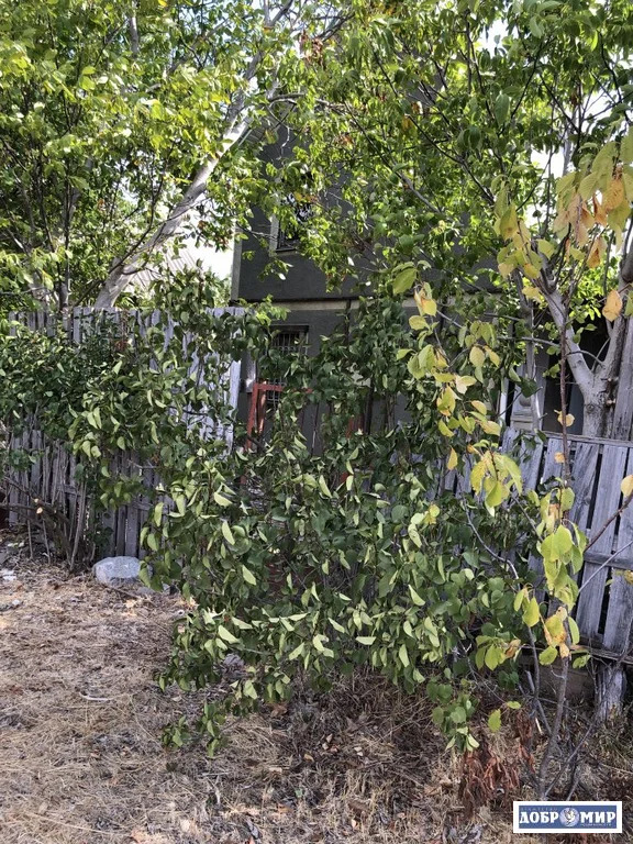 Продается Дача - Фото 2