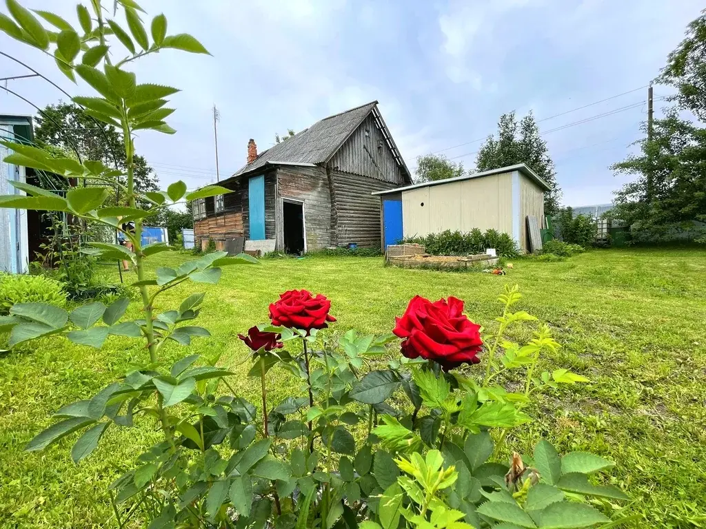 Дом в деревне Бормусово - Фото 28