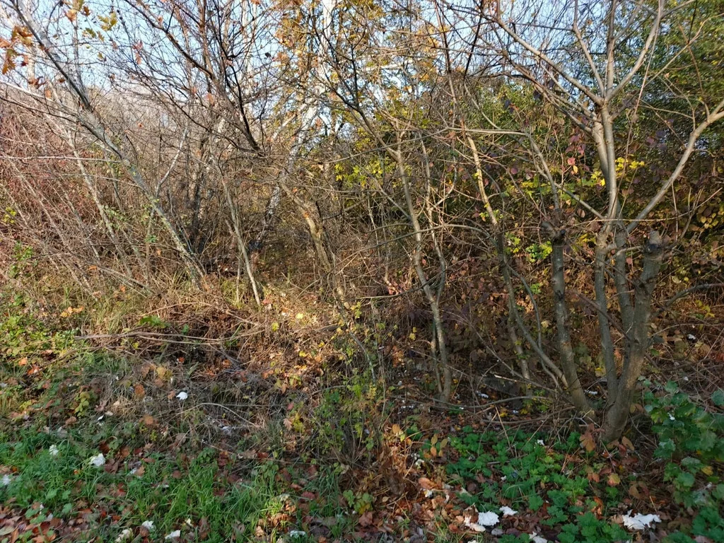 Продажа участка, Северский район - Фото 2