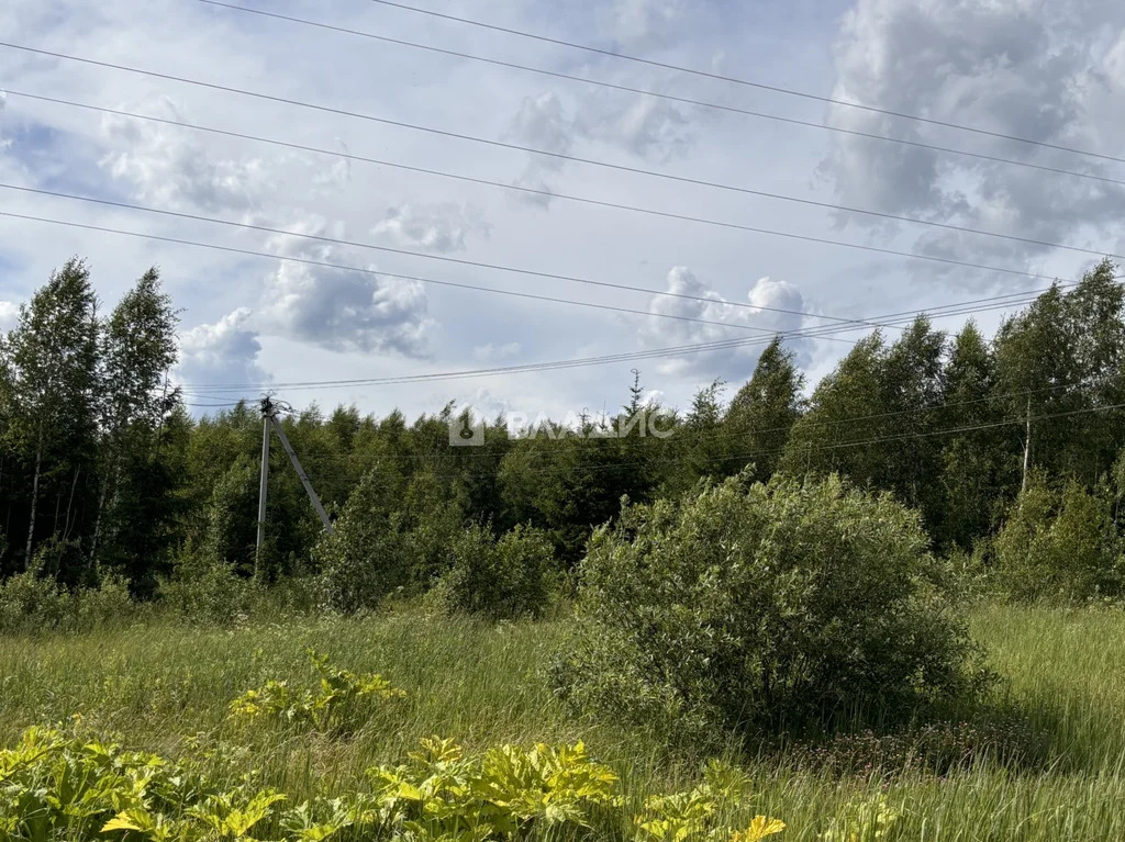 городской округ Истра, коттеджный посёлок Рижская Дубрава,  дом на ... - Фото 14