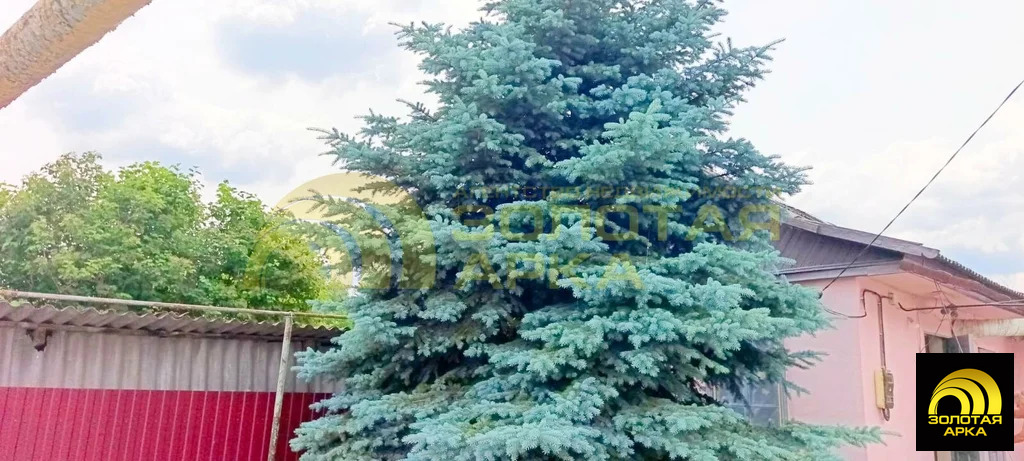 Продажа дома, Киевское, Крымский район - Фото 12