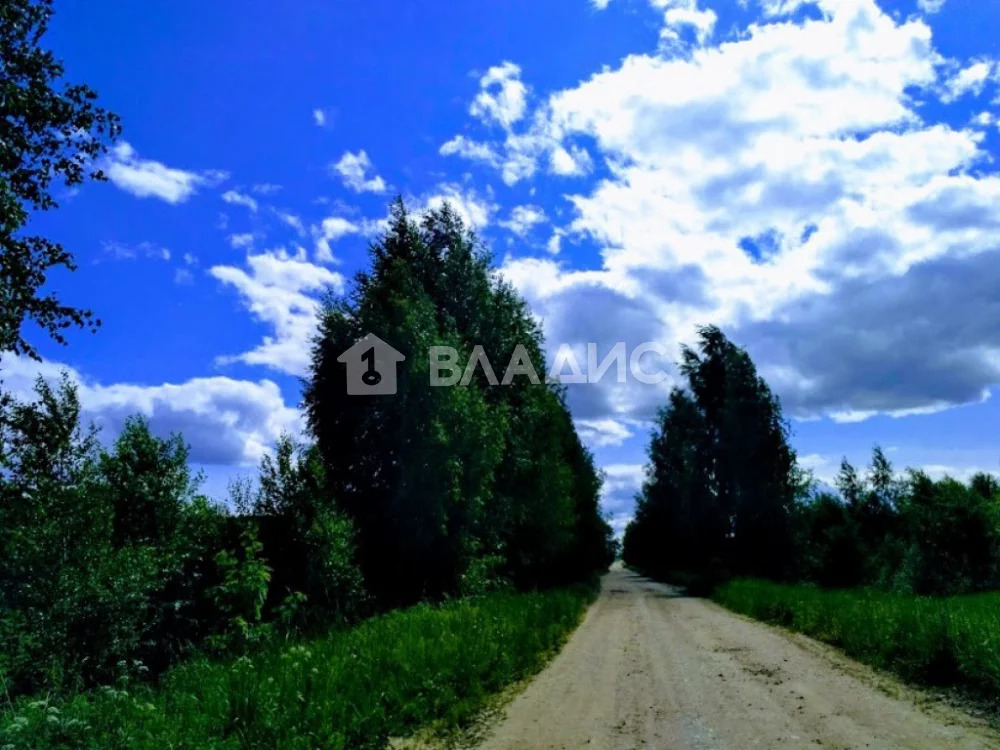 Земельный участок на продажу, Суздальский район, деревня Бородино - Фото 1