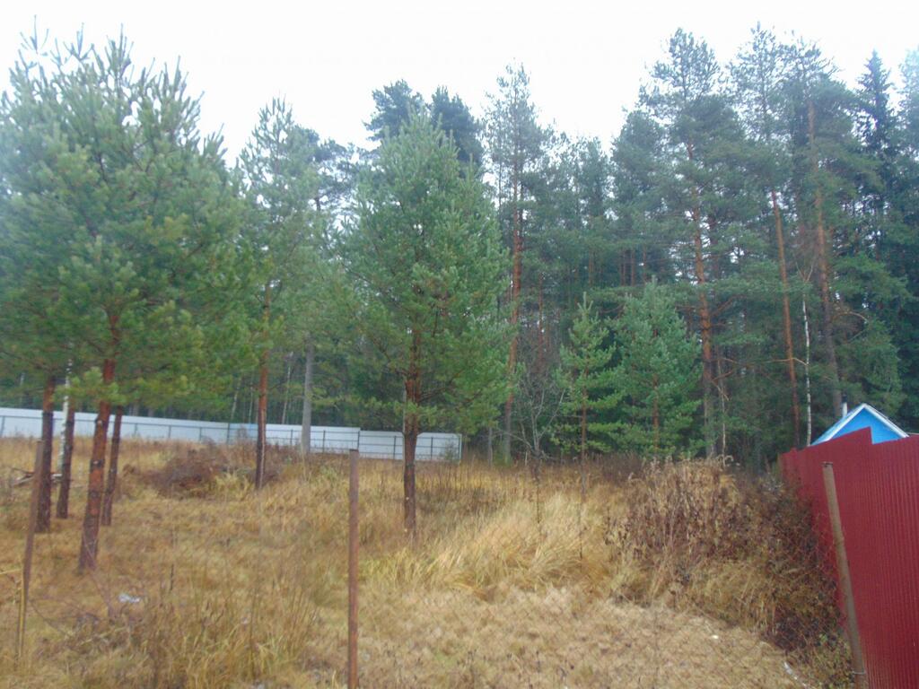 Снт пульс карта