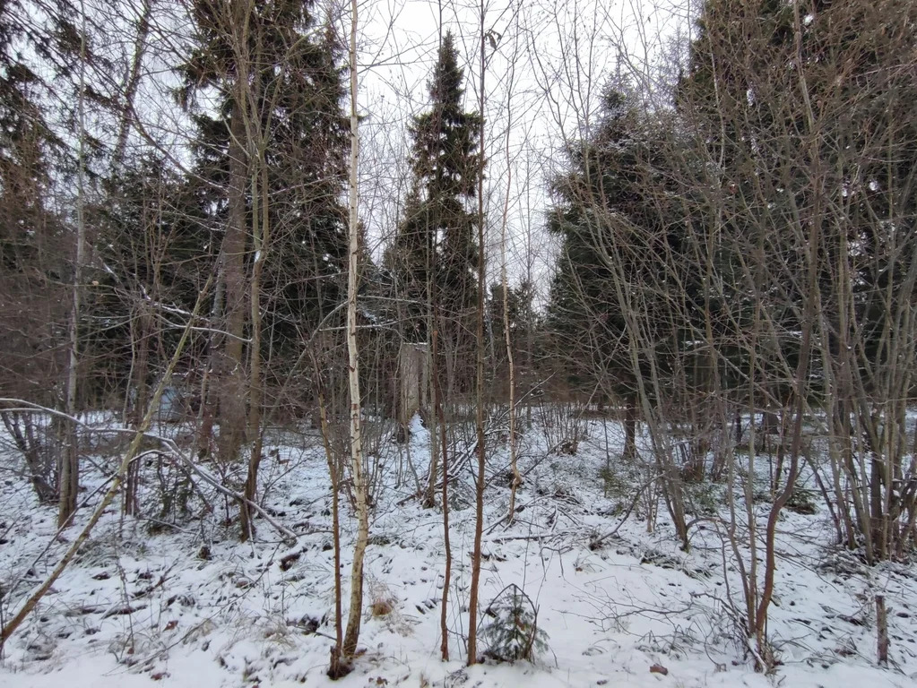 Продажа участка, НИИ Радио, Одинцовский район, Тыльная улица - Фото 3