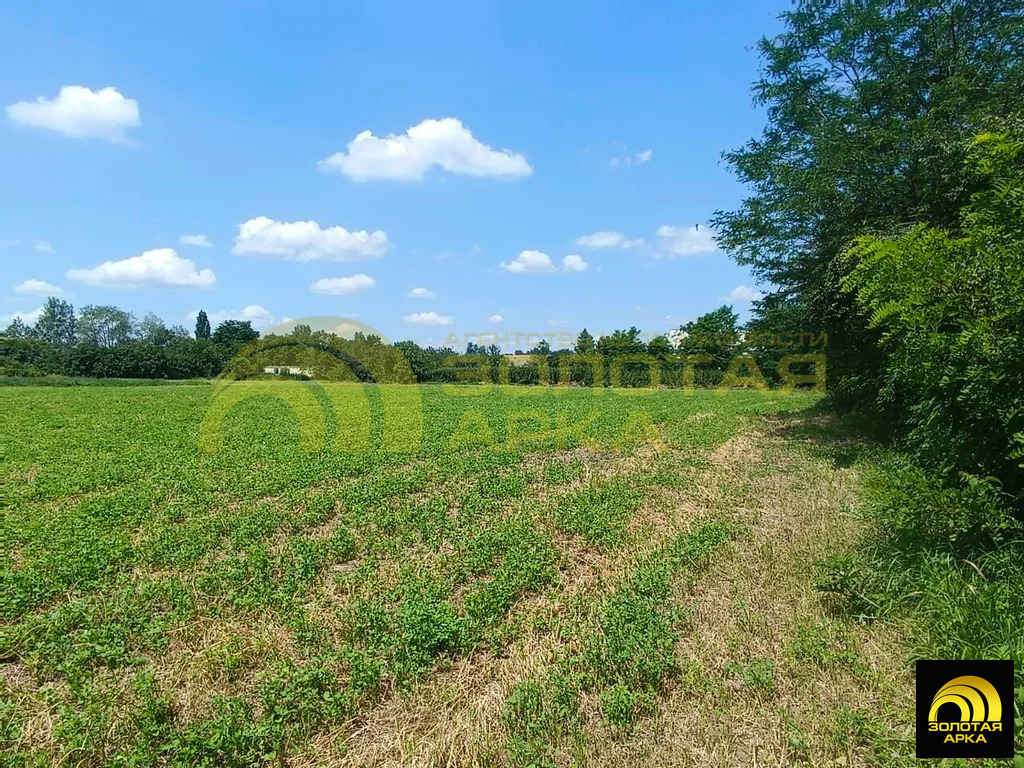 Продажа участка, Мингрельская, Абинский район, ул. Ильская - Фото 10