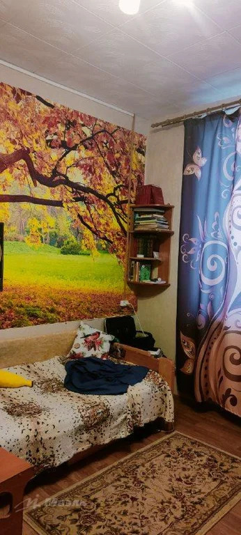 Объект 554485 - Фото 18