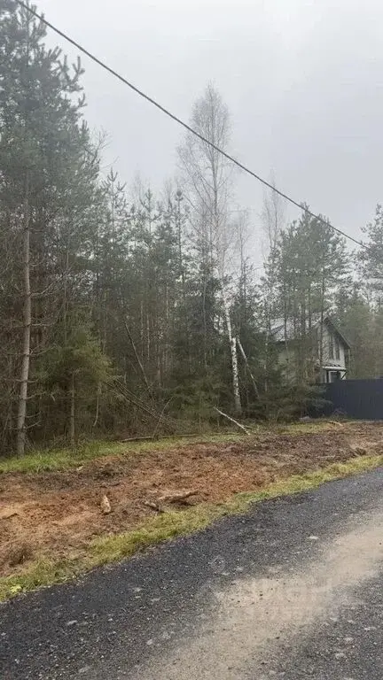 Лесные участки в Истринском районе! - Фото 1