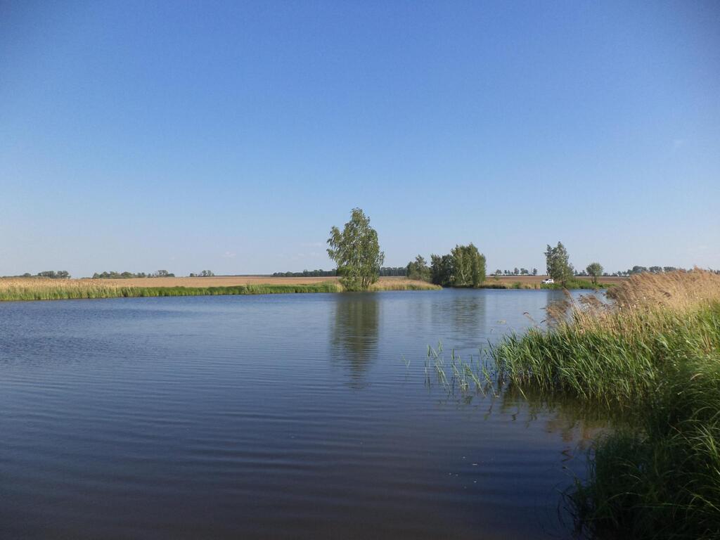 Муромцево воскресенский район карта