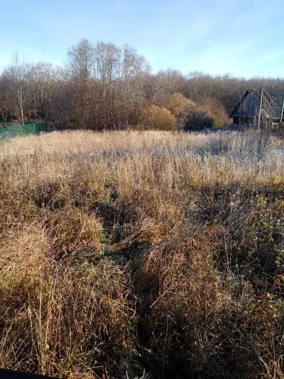 Продаю дом в Ленинградская обл. п. Пудость - Фото 17