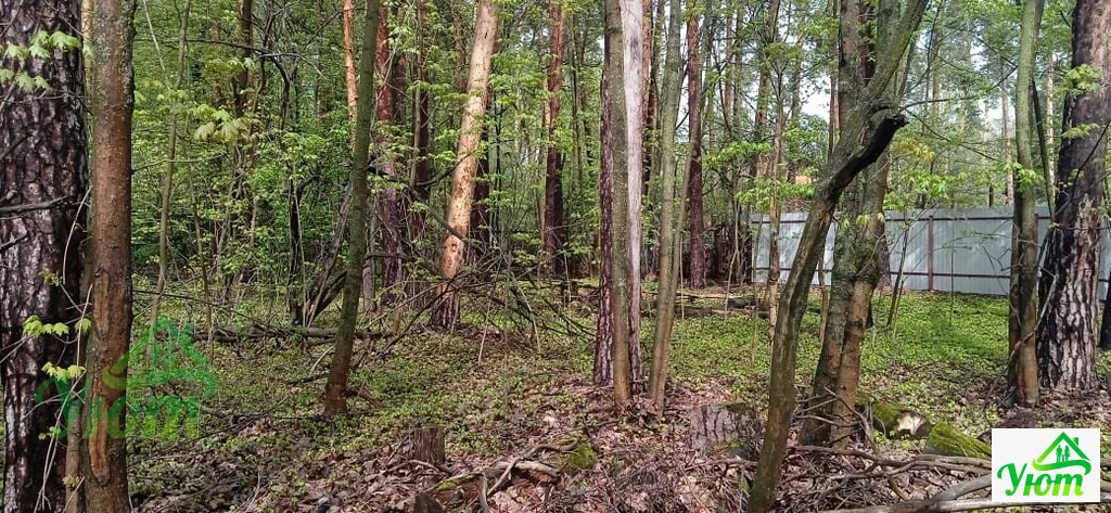 Продажа дома, Быково, Волоколамский район, улица Опаринская - Фото 21