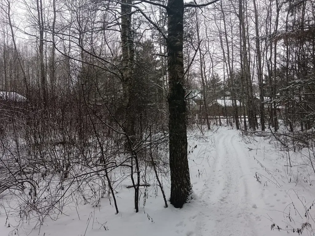 Продам земельный участок 19 соток в д.Чиверево, г.о. Мытищи - Фото 5