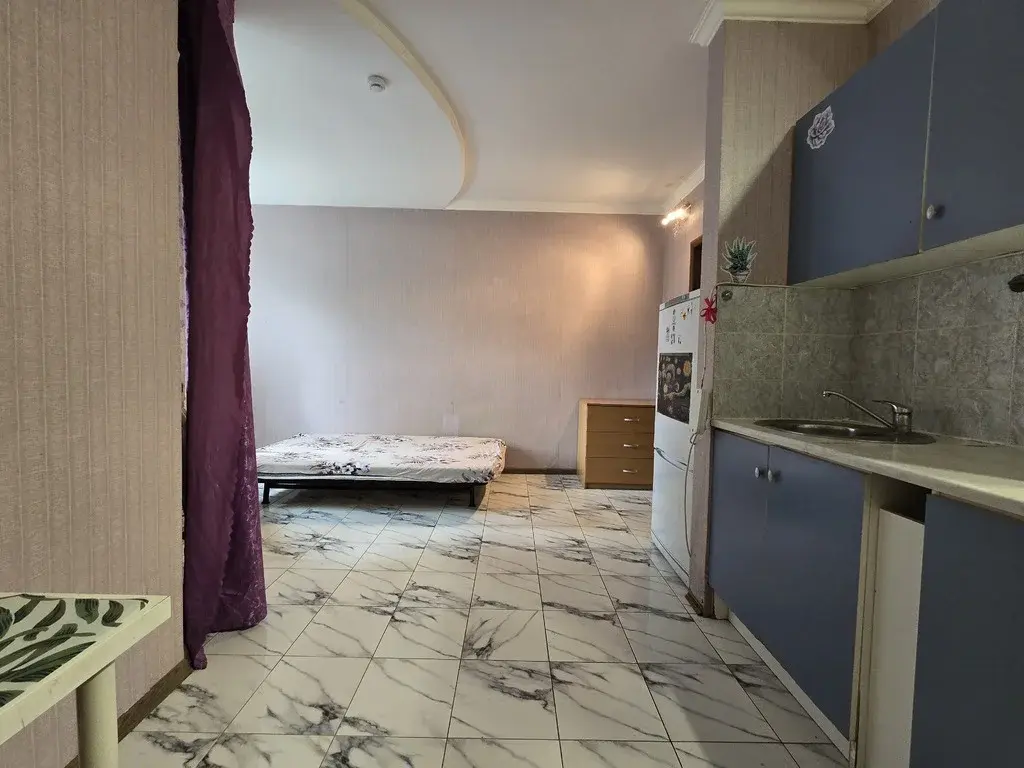 Студия ул.Самсоновская, дом 98б - Фото 3