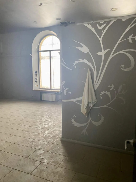 Продается ПСН 1060.2 м2 - Фото 14