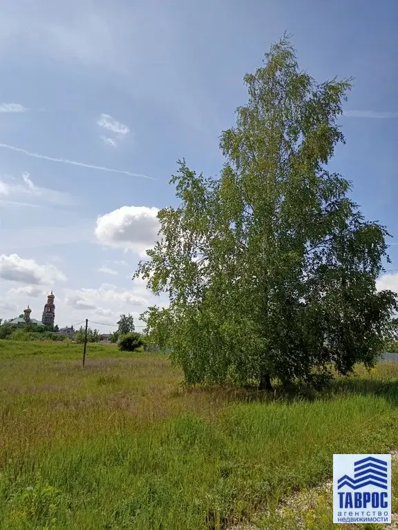 Продам участок в Панино Спасский район - Фото 7