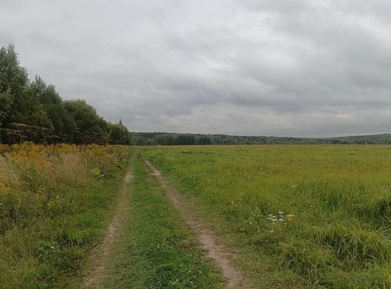 Продажа участка, Семеновское, Серпуховский район - Фото 1