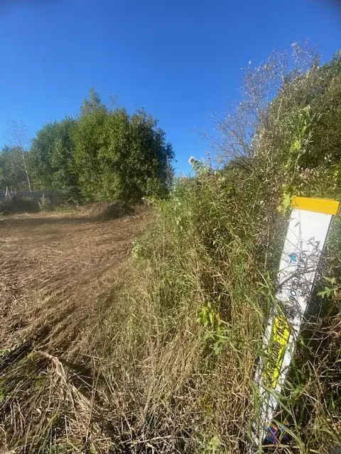 Продам участок - Фото 4