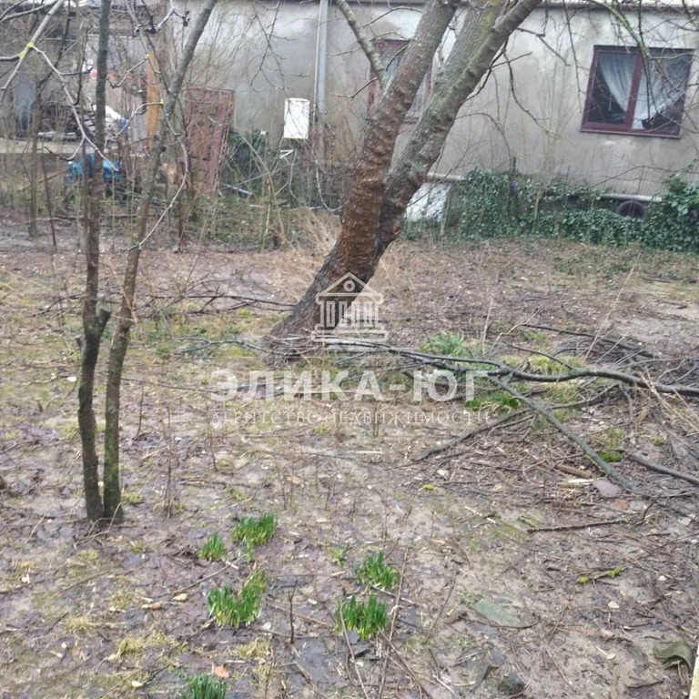 Продажа дома, Ольгинка, Туапсинский район, ул. Черноморская - Фото 6