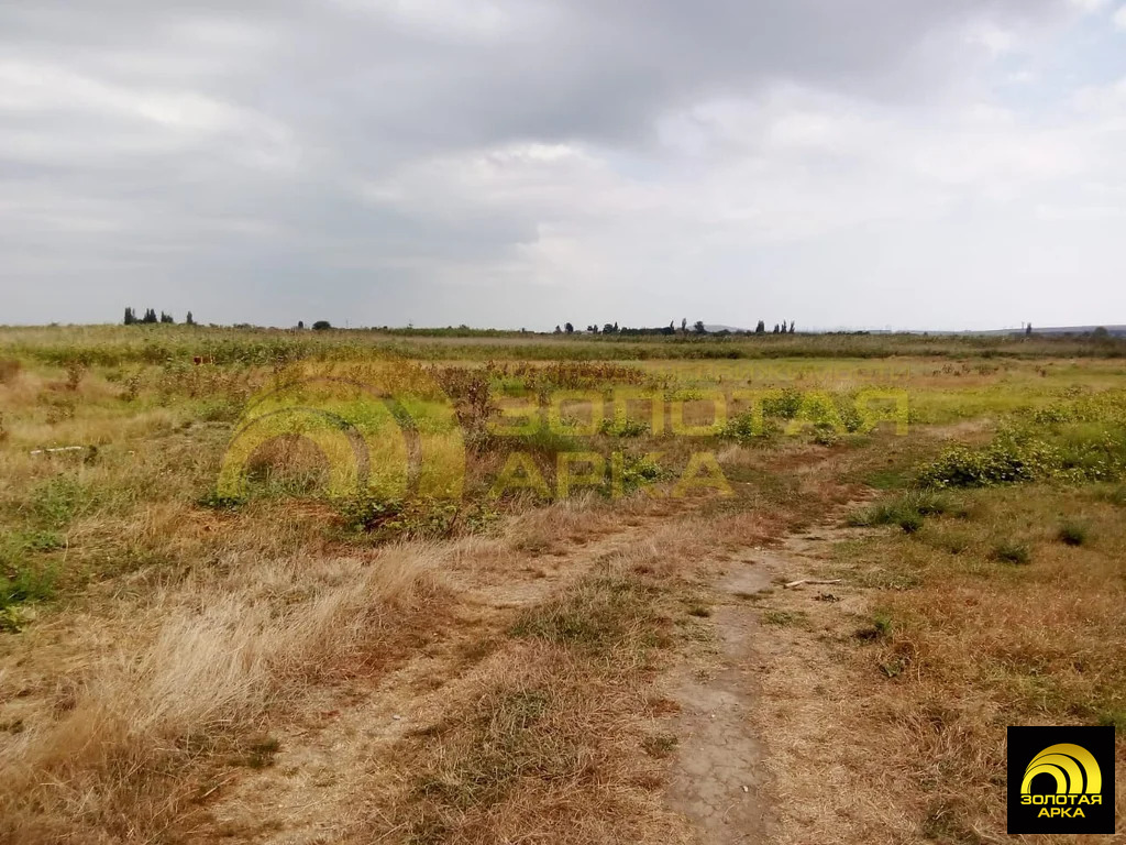 Продажа участка, Старотитаровская, Темрюкский район, ул. Залиманная - Фото 6