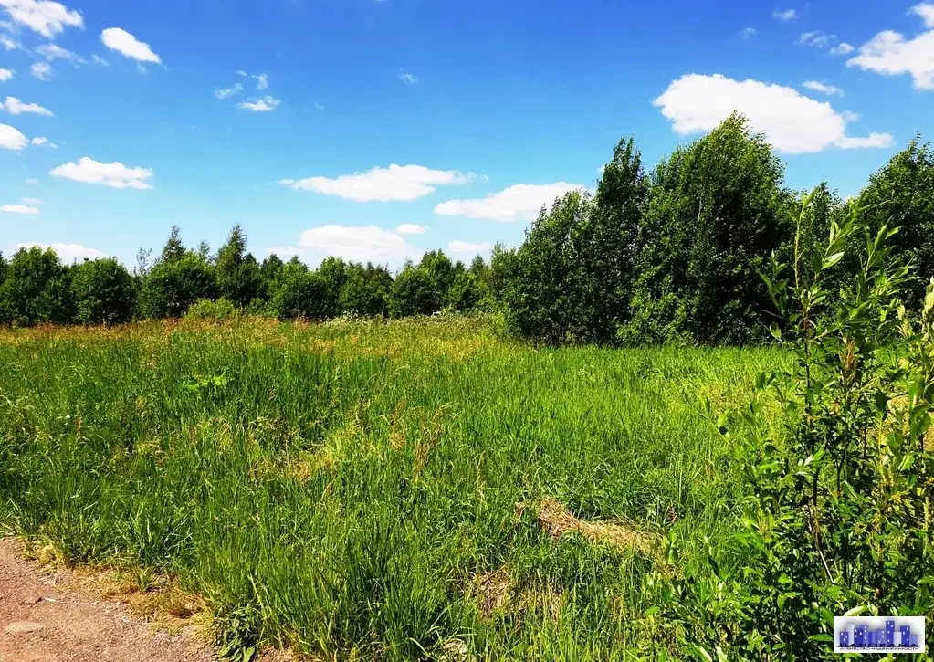 Деревня повадино солнечногорский район фото