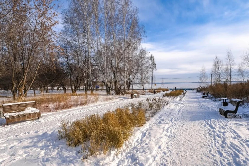 Продажа квартиры, Новосибирск, ул. Софийская - Фото 20