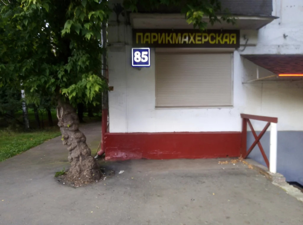 французского срочное фото м новогиреево блины меня будут