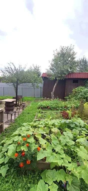 Продаю Дом СНТ Сельский Строитель-Юсупово. - Фото 25