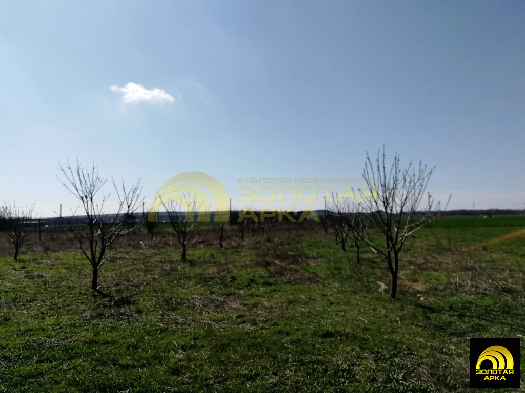 Продажа участка, Старотитаровская, Темрюкский район, Ильича пер. - Фото 8