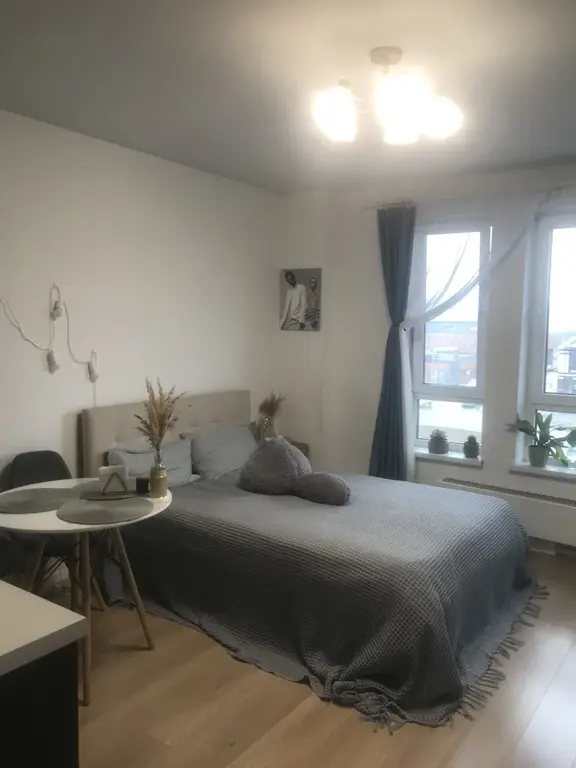 Квартира-студия, 23,5 м, 4/12 эт. - Фото 2