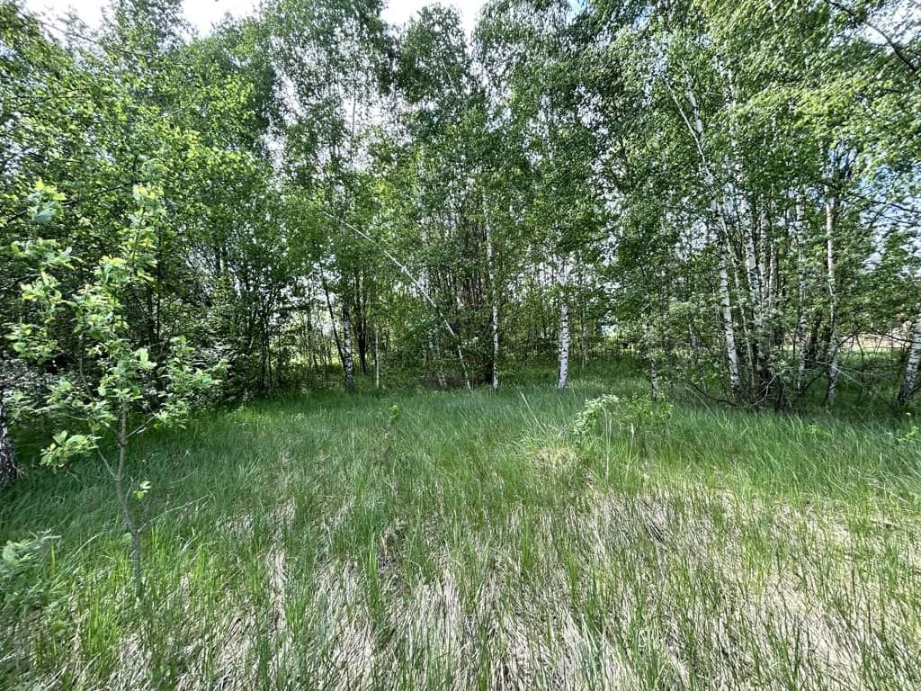 Продажа участка, Дмитровский район - Фото 6