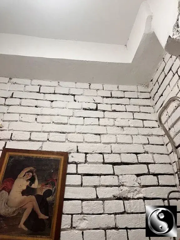 Снять комнату 98.0/12-12м 1-й Колобовский пер., 27/3С2, Москва, ЦАО, ... - Фото 21