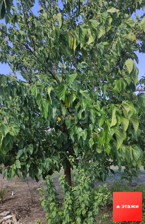 Продажа участка, Митяево, Сакский район, ул. Спортивная - Фото 1