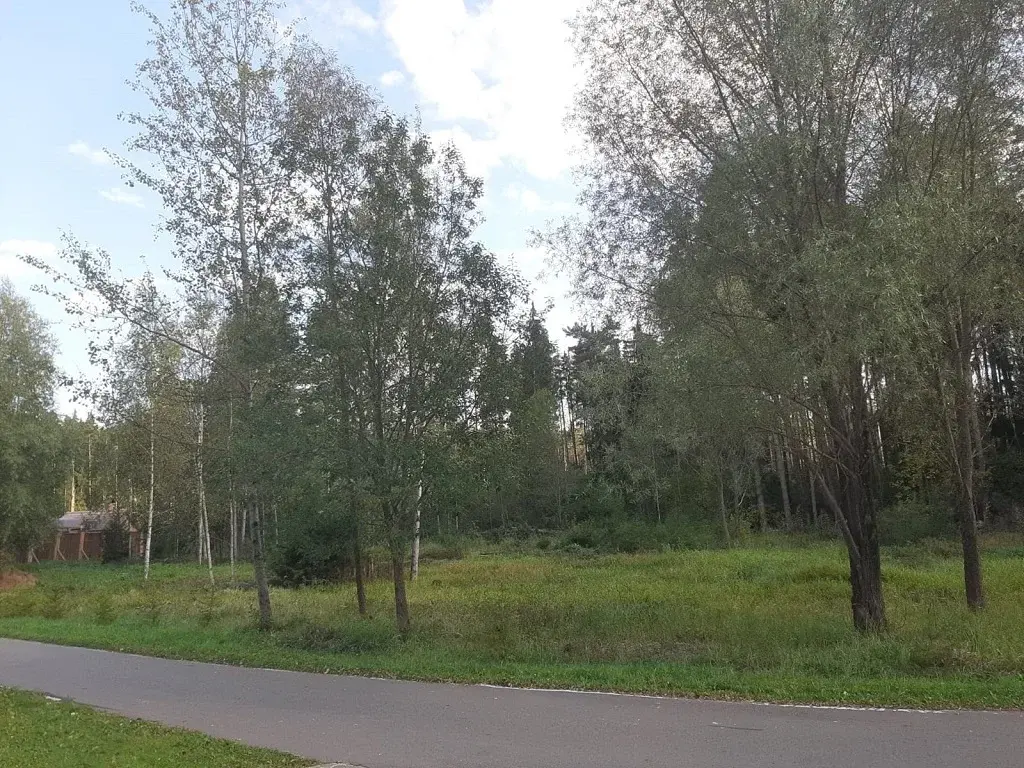 Продажа лесного участка в тихом месте на Рублевке на Николиной горе - Фото 9