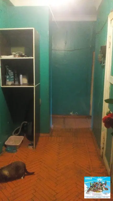 Комната 19 м в центре п. Львовский, г. Подольск, ж/д станция Львовская - Фото 11