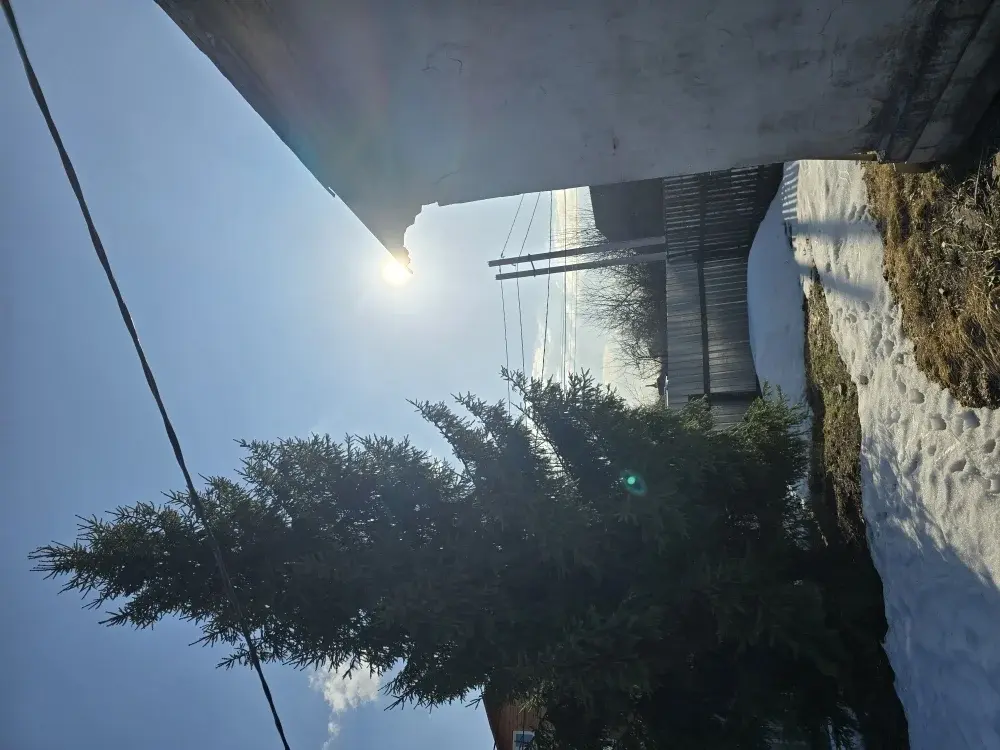 Продаю дачу в с. Покровское - Фото 12