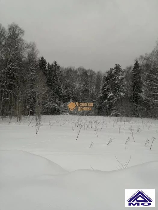 Автобус чехов ходаево