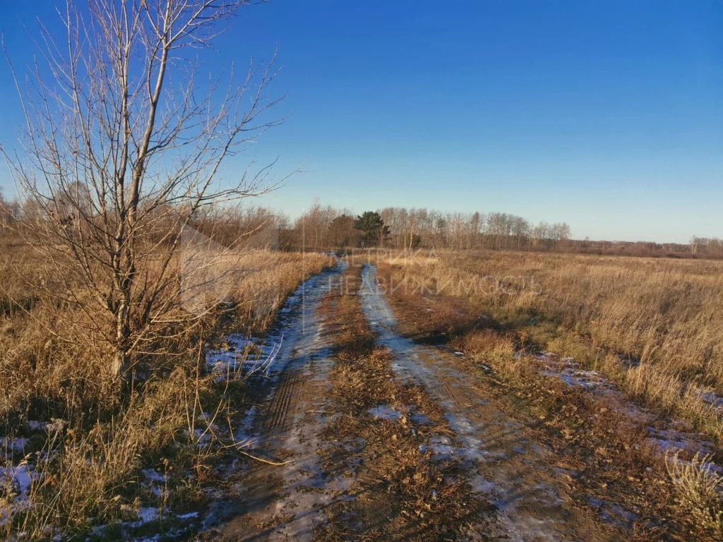 Продажа участка, Падерина, Тюменский район, Тюменский р-н - Фото 6