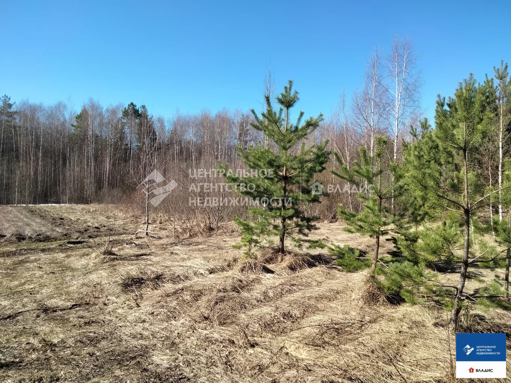 Продажа участка, Лощинино, Касимовский район, Зелёная улица - Фото 3