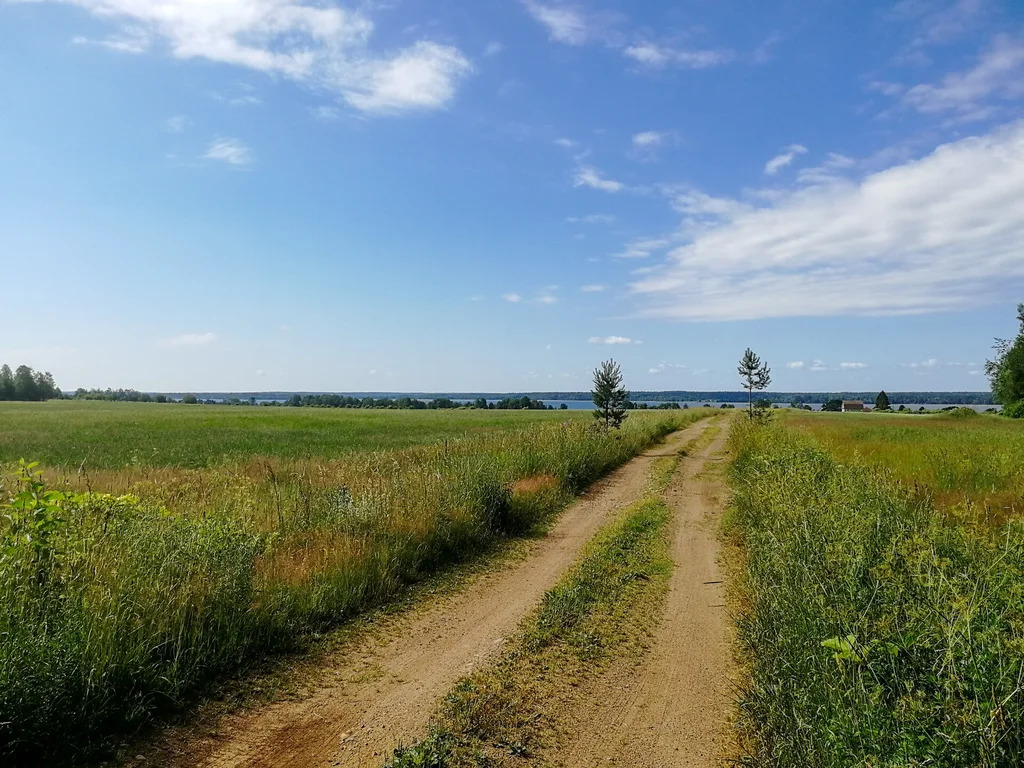 Продажа участка, Солнечное, Приозерский район - Фото 7