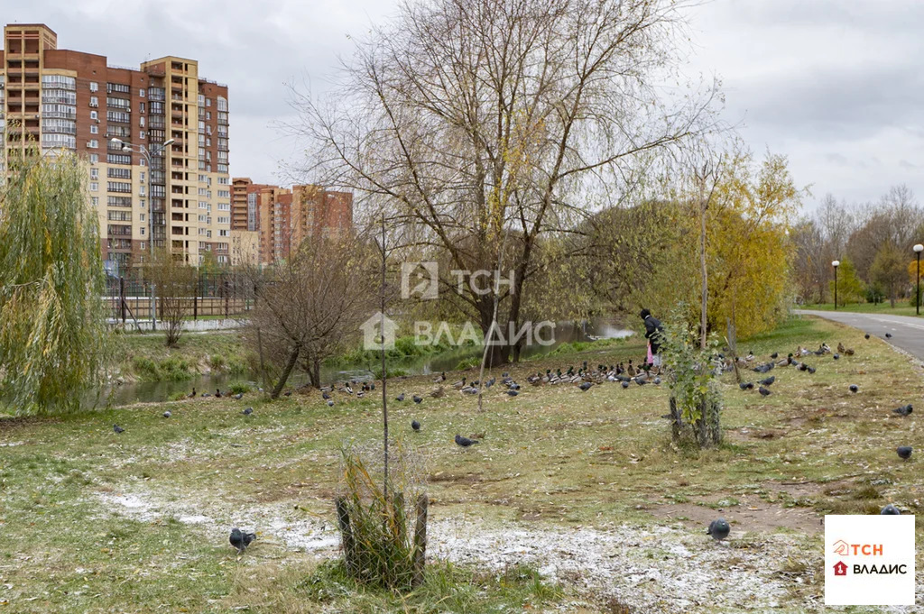 городской округ Мытищи, Мытищи, Новомытищинский проспект, д.88к1, ... - Фото 36