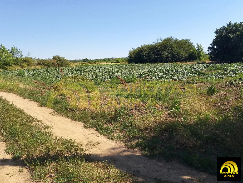 Продажа участка, Темрюкский район - Фото 6