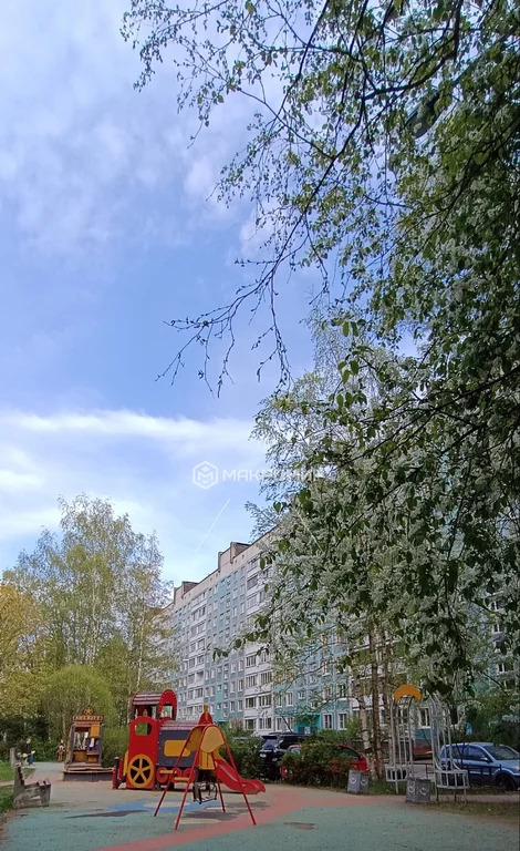 Продажа квартиры, м. Озерки, Северный пр-кт. - Фото 20