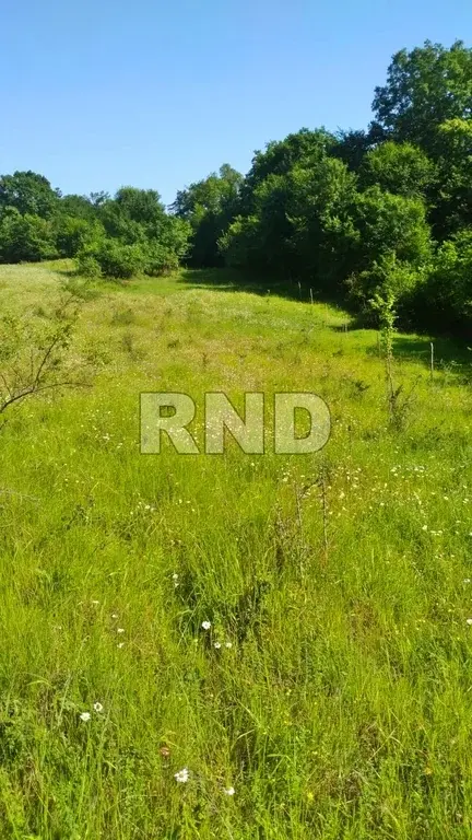 Краснодарский край,  Адлерский район,   25 км от Сочи, участок 6,5 сот - Фото 6