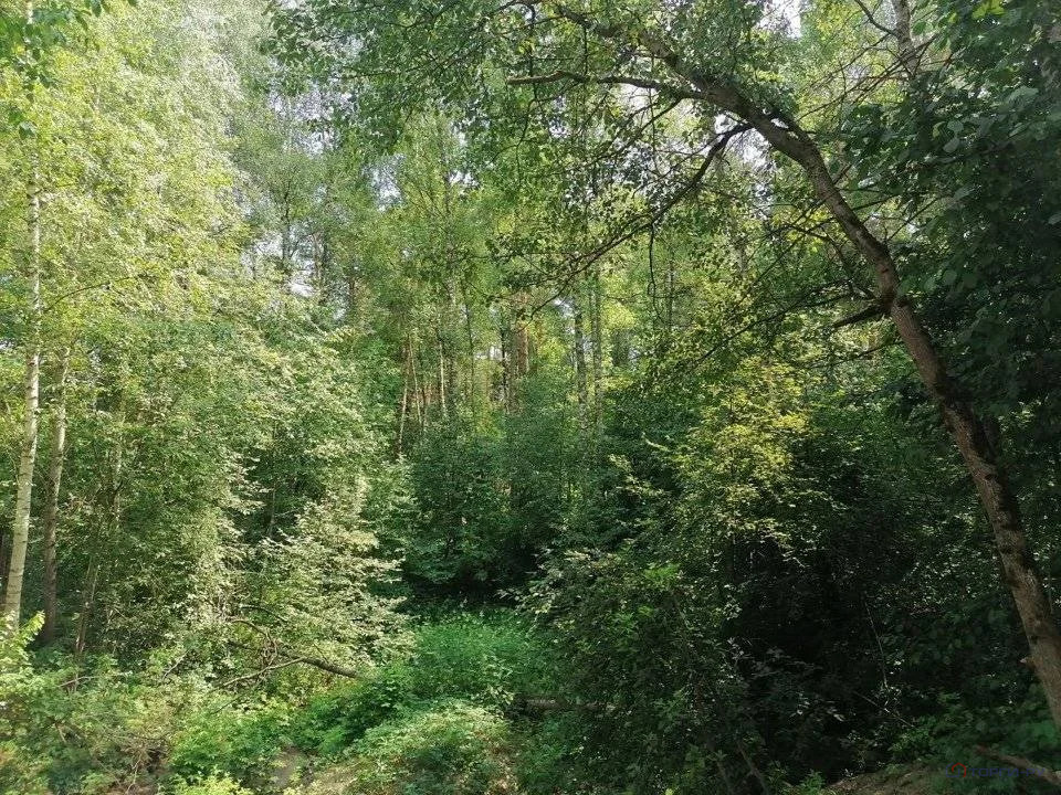 Продажа участка, Сосны, Одинцовский район - Фото 0