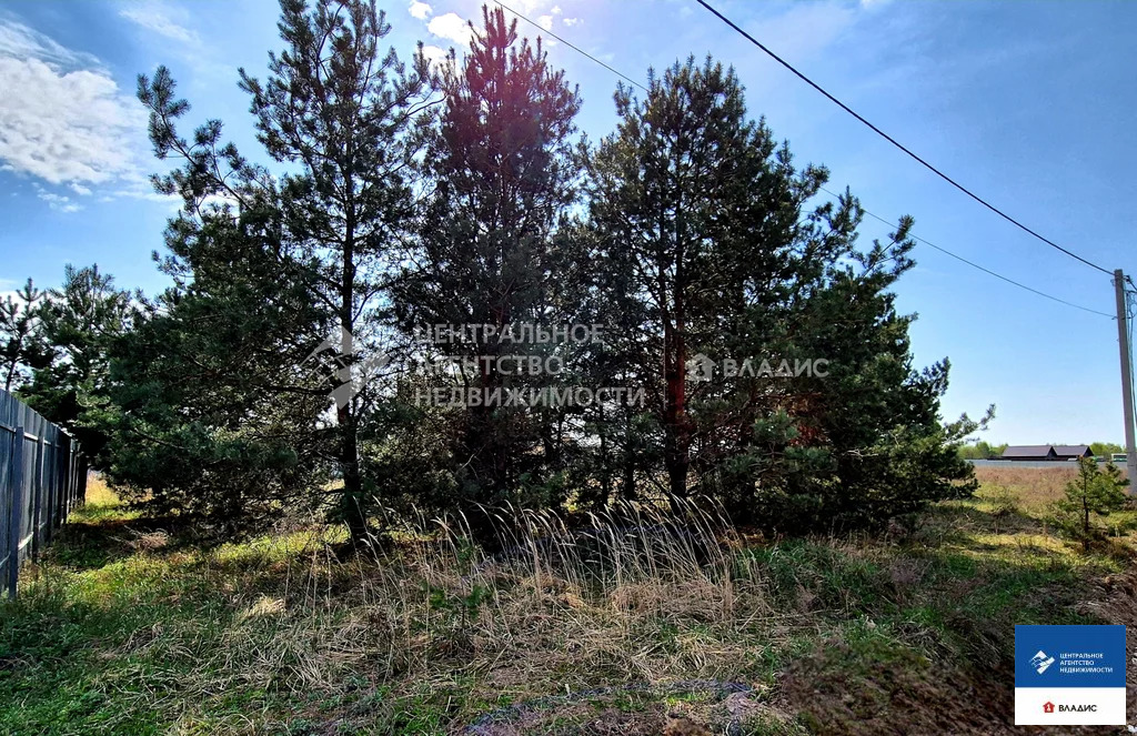 Продажа дома, Восход, Кадомский район, Ольховая улица - Фото 8
