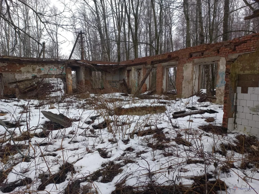 Продажа земельного участка, Мачулы-1, Починковский район - Фото 1