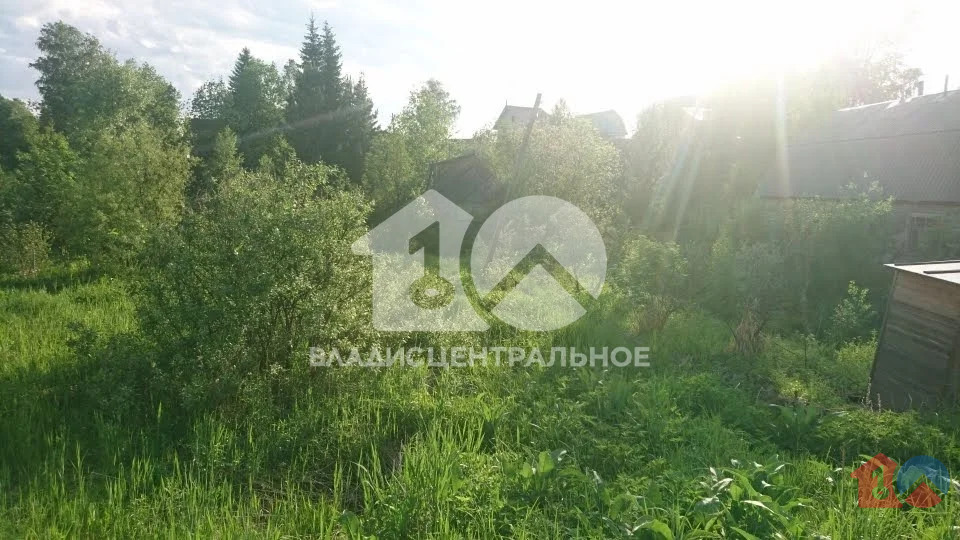 Тогучинский район, СНТ Лесовик,  земля на продажу - Фото 1