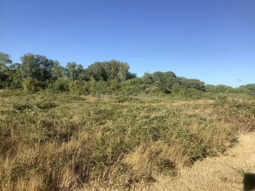 Продажа участка, Севастополь, ул. Речная - Фото 6