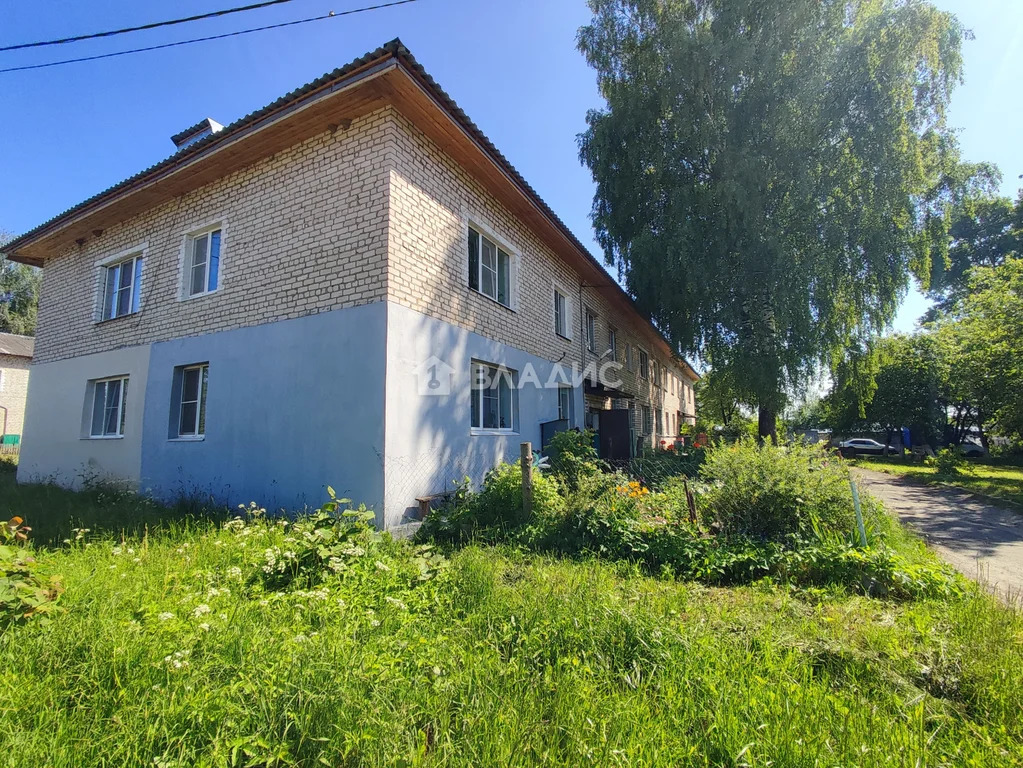 Судогодский район, деревня Ильино, Молодёжная улица, д.3, 3-комнатная ... - Фото 25